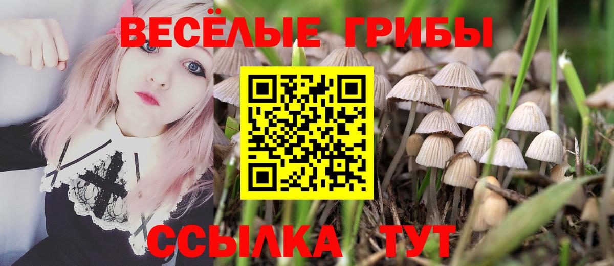 Галлюциногенные грибы GOLDEN TEACHER  Псилоцибиновые грибы MAGIC MUSHROOMS  Вход с VPN  купить  цена  Татарск 
