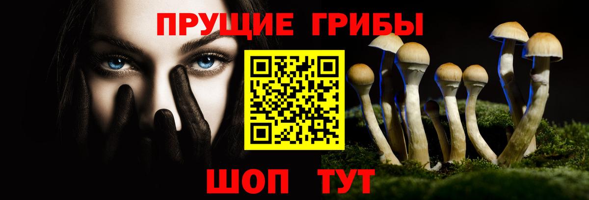 Галлюциногенные грибы мухоморы Татарск